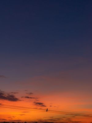 SOL DE OUTONO 02