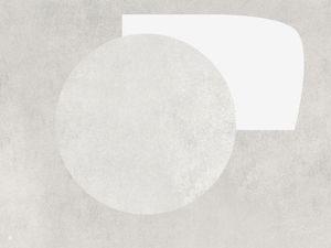 LE GRIS ET LE BLANC-H5