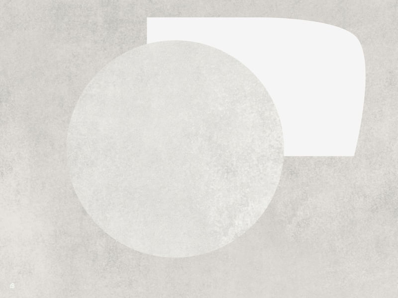 LE GRIS ET LE BLANC-H5