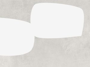 LE GRIS ET LE BLANC-H12