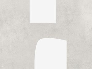 LE GRIS ET LE BLANC-H19