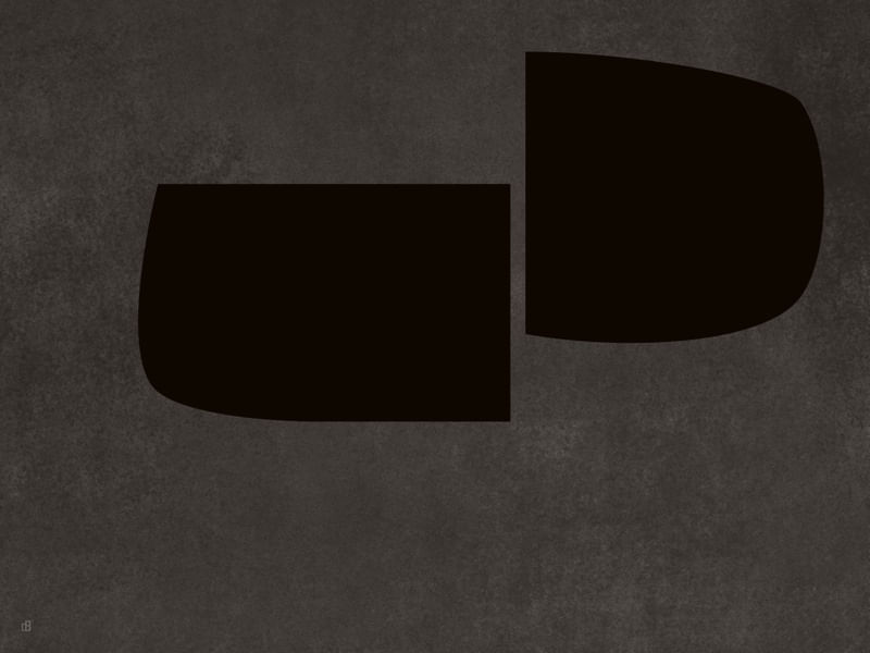 LE GRIS ET LE NOIR-H6
