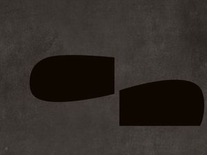 LE GRIS ET LE NOIR-H9