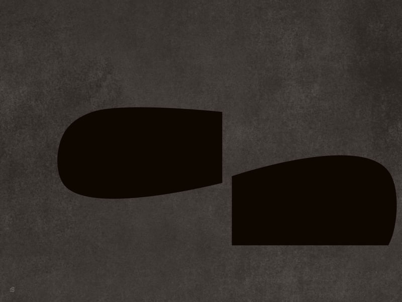 LE GRIS ET LE NOIR-H9