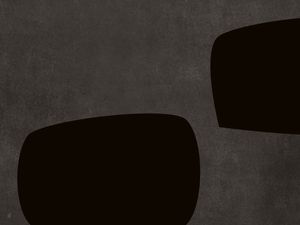 LE GRIS ET LE NOIR-H15