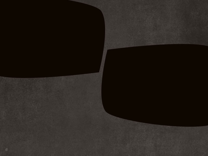 LE GRIS ET LE NOIR-H25