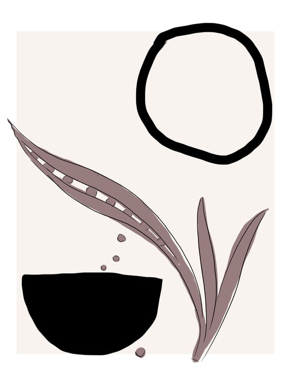 VIE 1