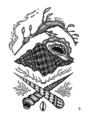 DRAGÃO MARINHO