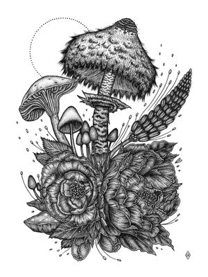 MUSHROOMS AND FLOWERS