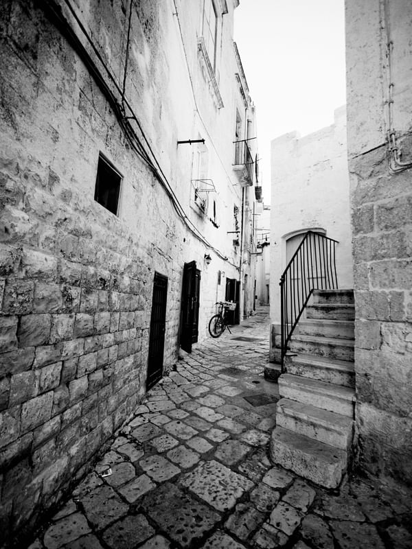 OLHARES DE BRESSON