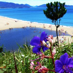 PRAIA DE CAPRICÓRNIO 2016