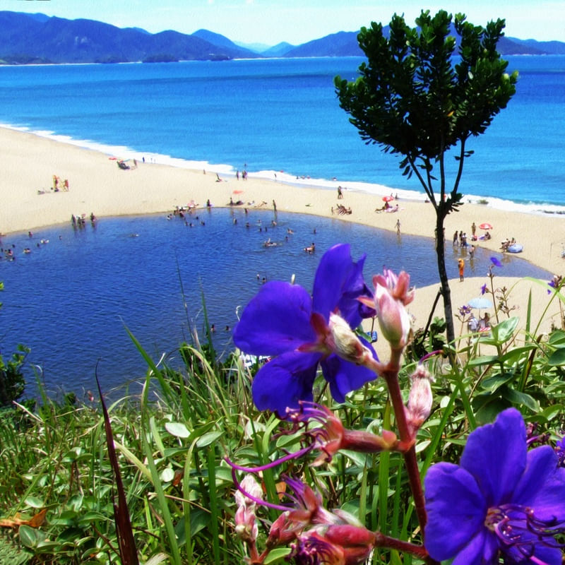 PRAIA DE CAPRICÓRNIO 2016