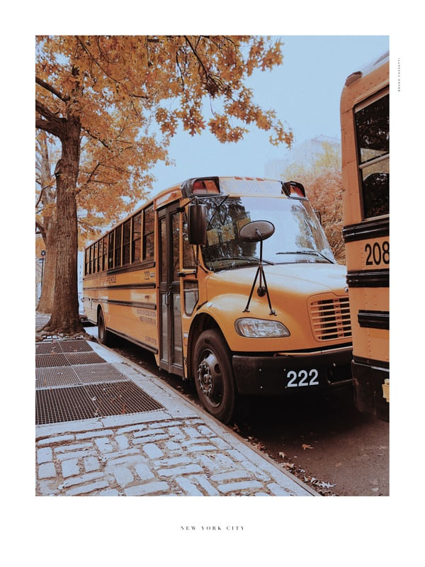 NYC - YELLOW SHADES 3/14