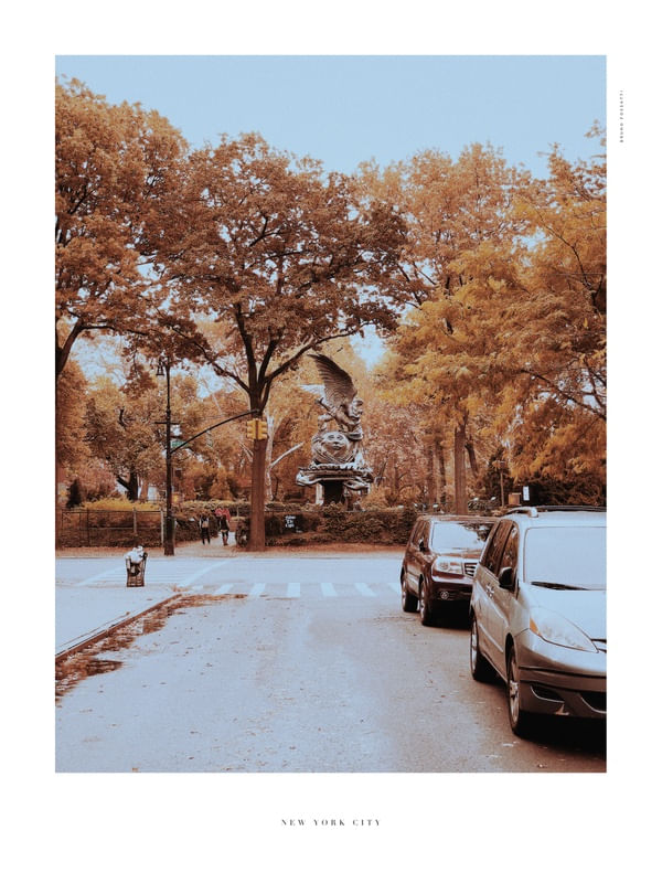NYC - YELLOW SHADES 4/14