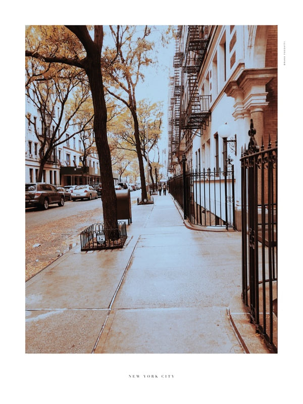 NYC - YELLOW SHADES 5/14