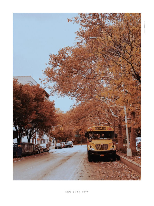 NYC - YELLOW SHADES 7/14