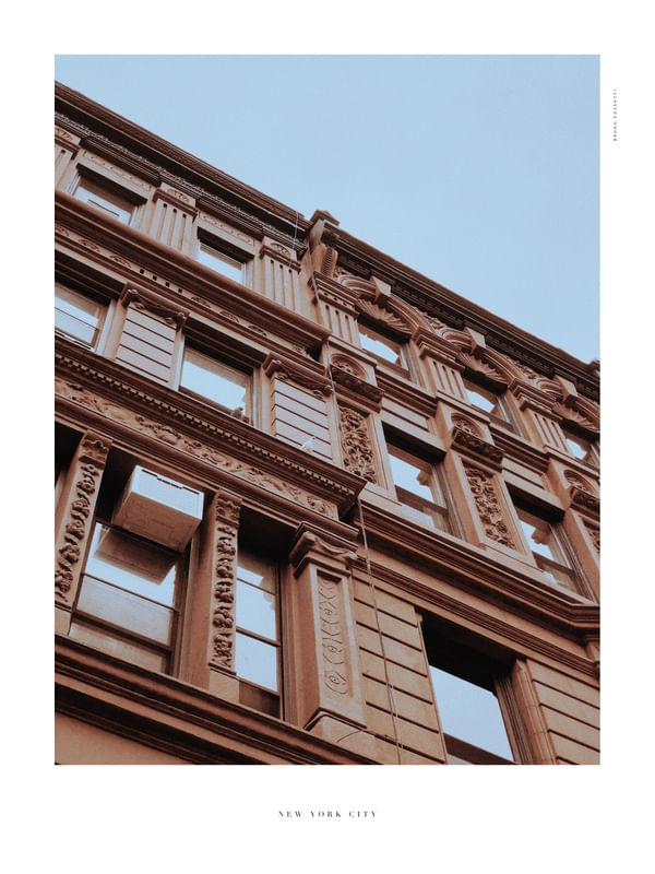NYC - YELLOW SHADES 13/14