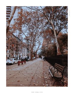 NYC - YELLOW SHADES 14/14