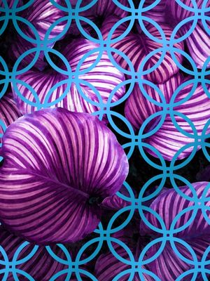 GEOMETRIC NATURE 9