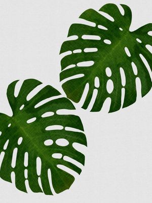MONSTERA LEAF II