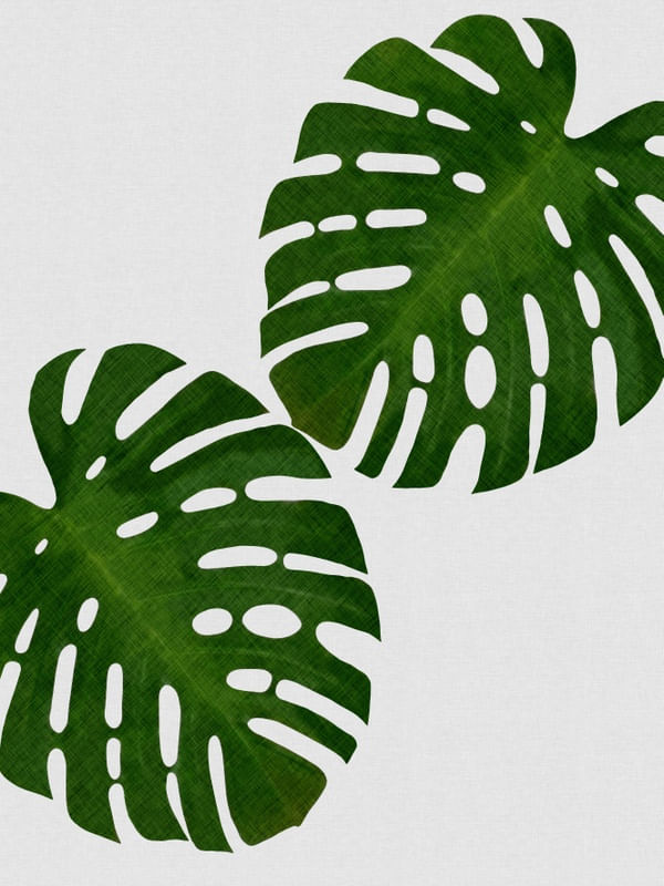 MONSTERA LEAF II