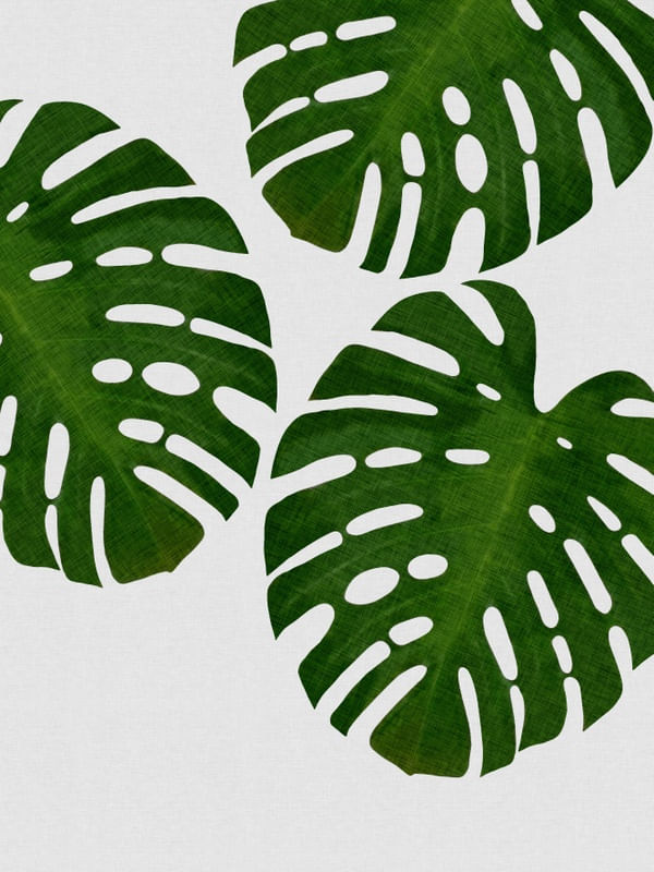 MONSTERA LEAF III