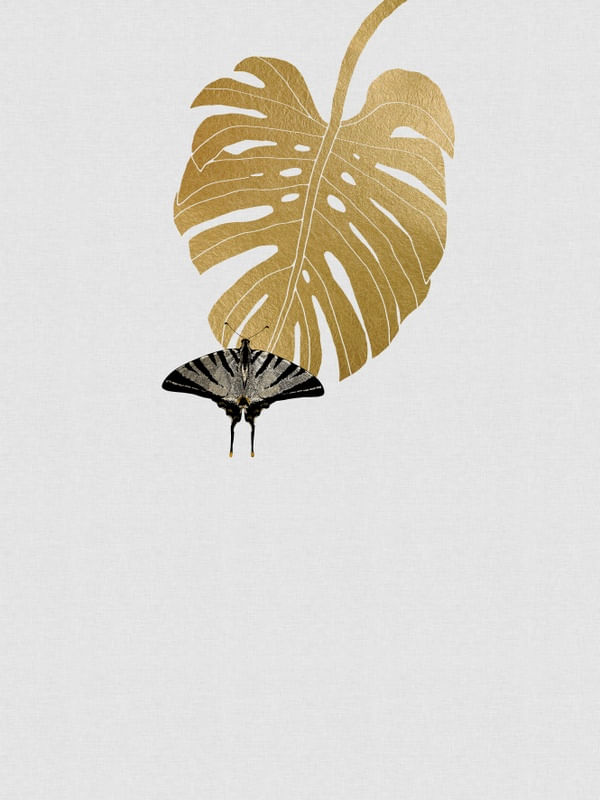 BUTTERFLY & LEAF