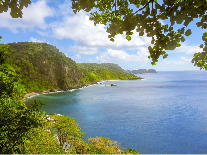 BAIA DOS GOLFINHOS NORONHA