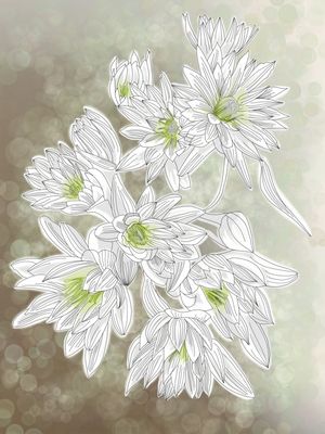 WHITE FLOWERS AND BUBBLES