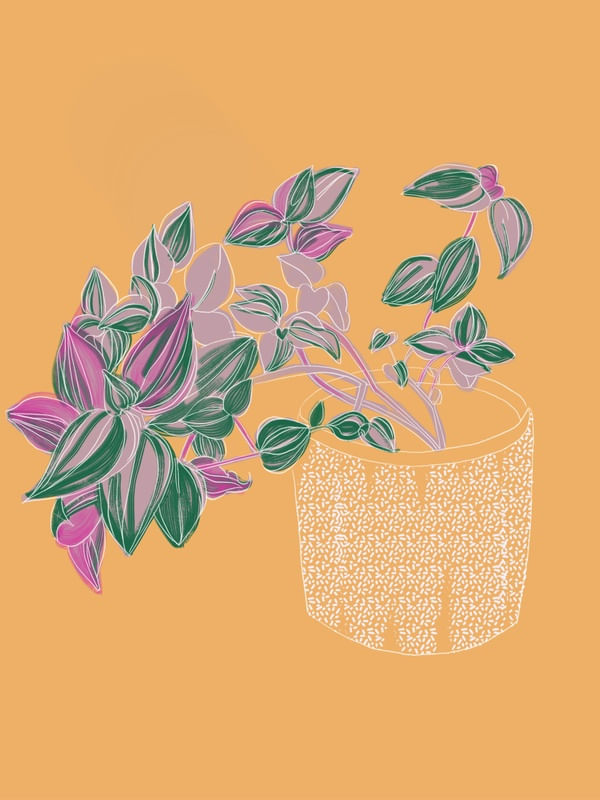 PINK PLANTS #1