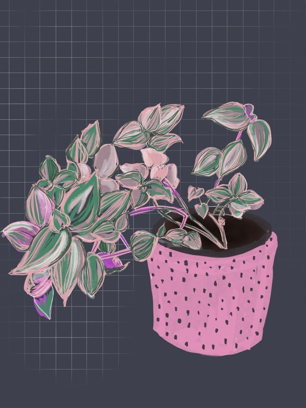 PINK PLANTS #2
