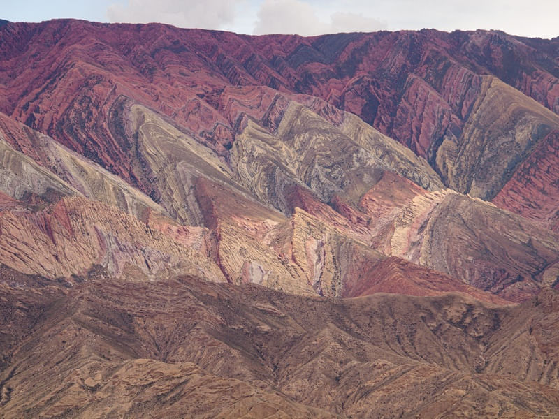 HORNOCAL SURREAL