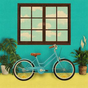 BICICLETA PELA JANELA