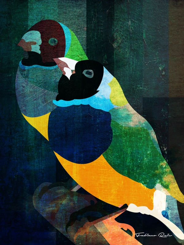 TWOBIRDS