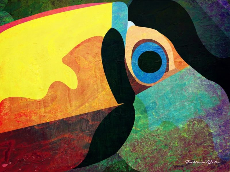 TOUCAN_