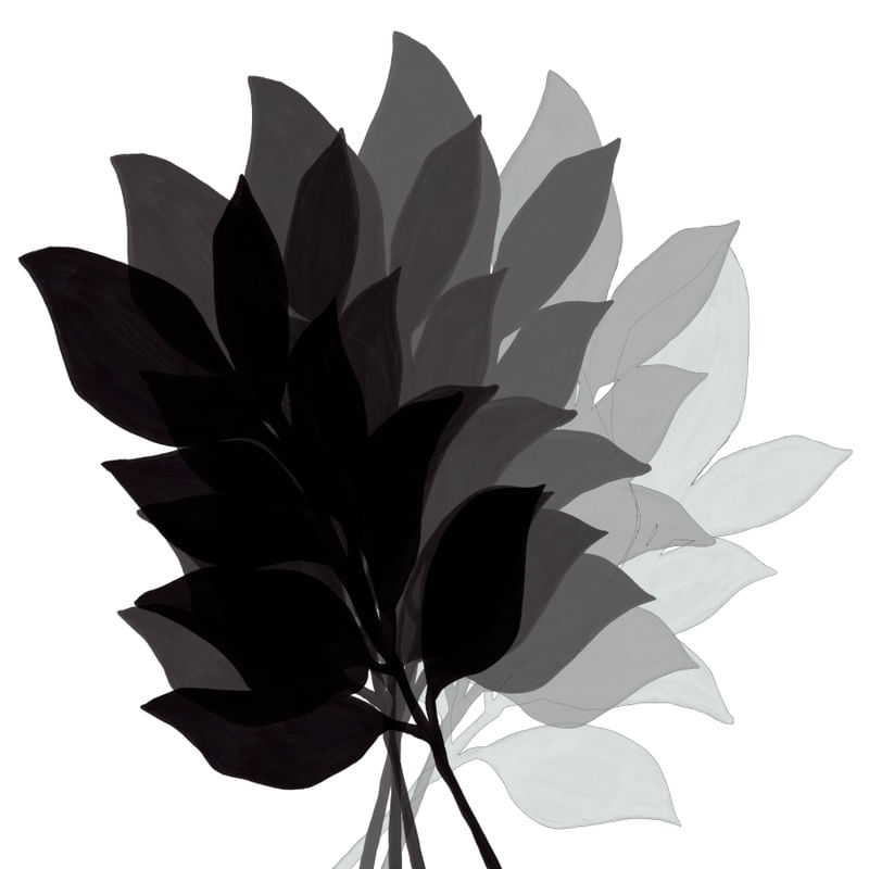 LEAF FAN 1, PRETO E BRANCO OMBRE