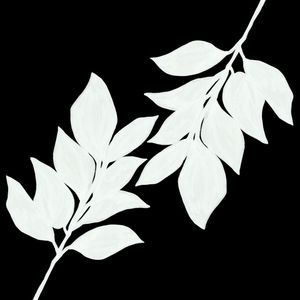 MINIMALIST LEAVES 2, PRETO E BRANCO
