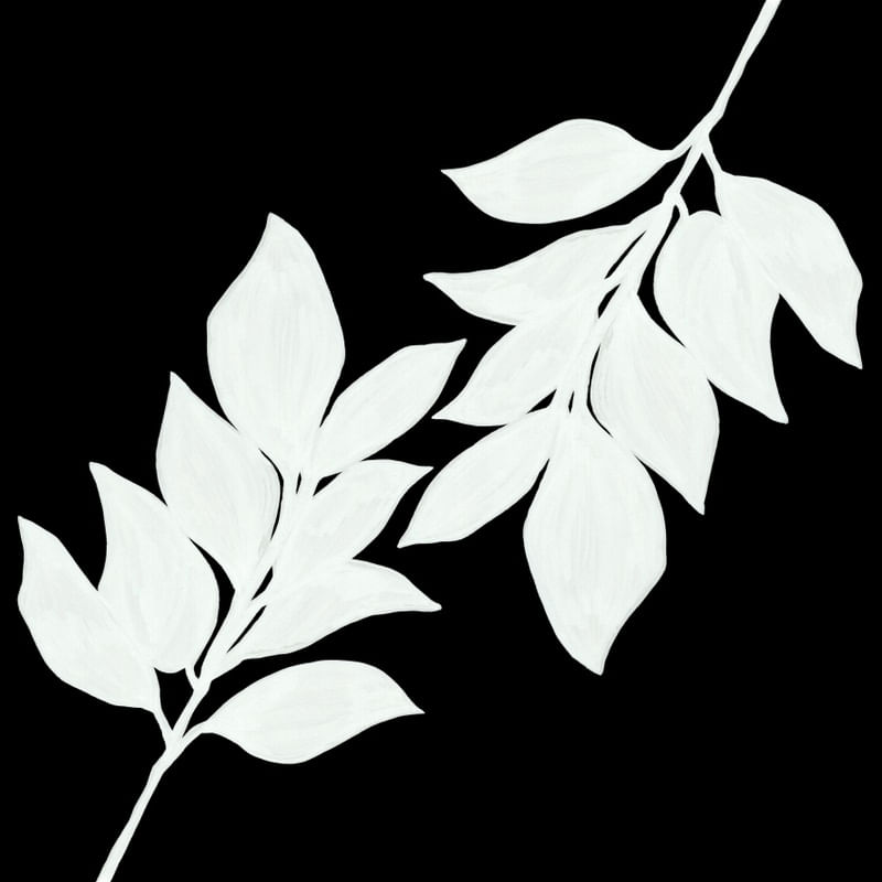 MINIMALIST LEAVES 2, PRETO E BRANCO