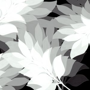 SHADOW LEAVES 2, PRETO E BRANCO