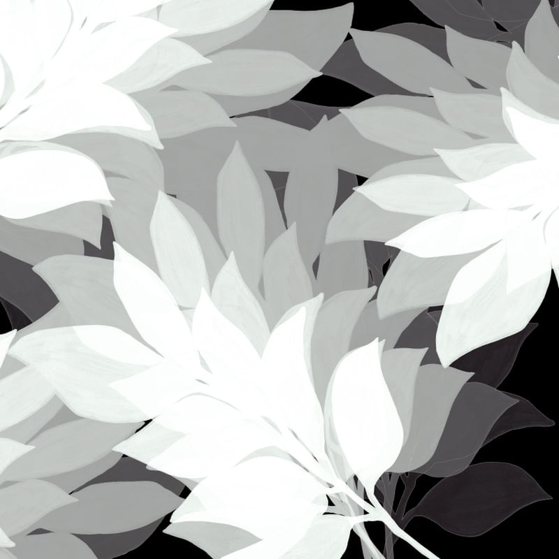 SHADOW LEAVES 2, PRETO E BRANCO