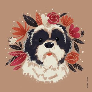 SHITZU - PET - RETRATO - ESTIMACAO