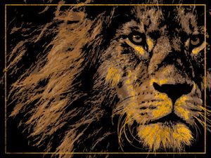 LION 5