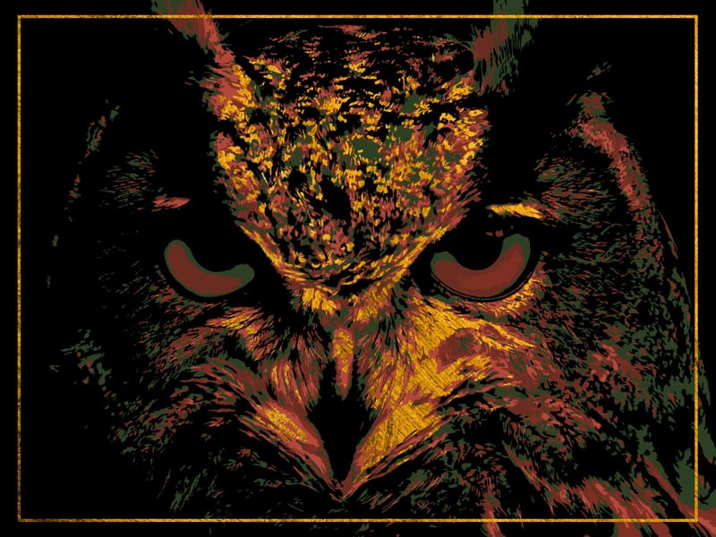 OWL 2 RED, GREEN AND GOLD