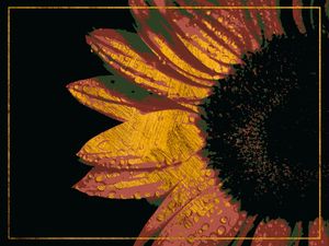 SUNFLOWER HALF