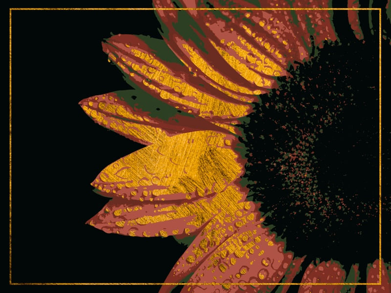 SUNFLOWER HALF