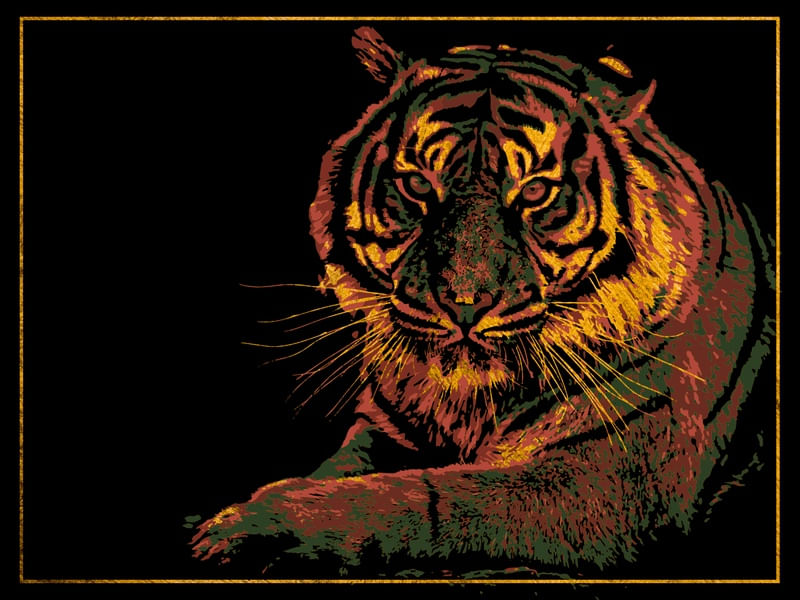 TIGER 3