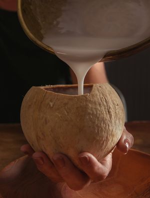 COCO NATURAL