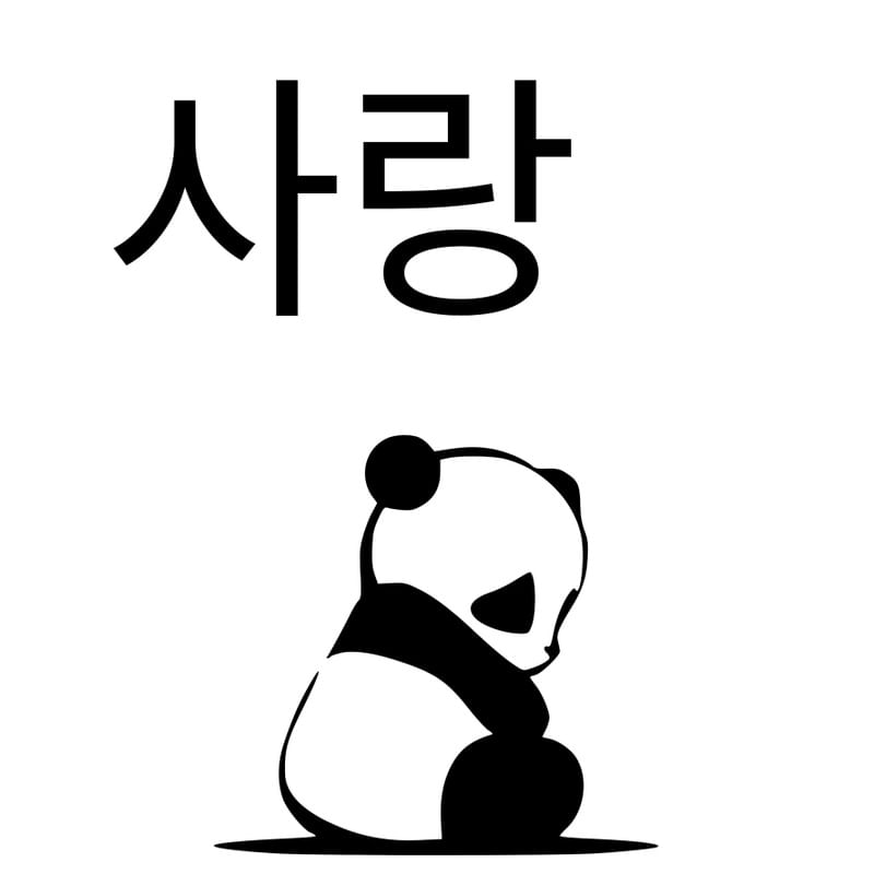 KOREA AMOR
