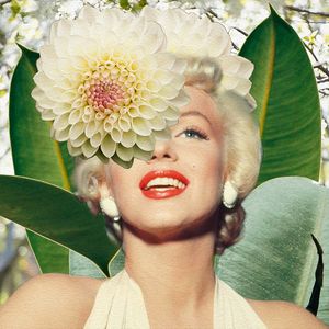 MARILYN FLOWERS