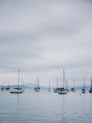 BARCOS NA PAISAGEM